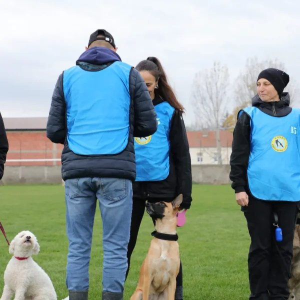 KOSSP SMEDEREVO LIPE 2025, 17
