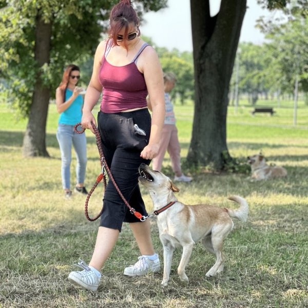 Izveštaj sa festivala "Ulični psi" — 19