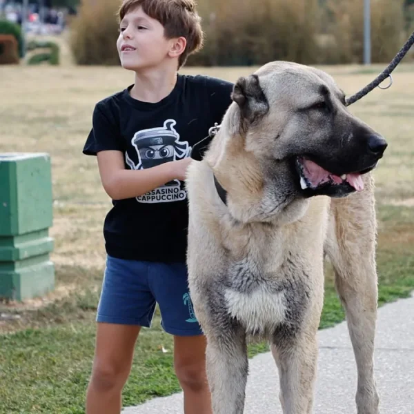 5zona na pet centar karavanu - Ada Ciganlija - Beograd — 14