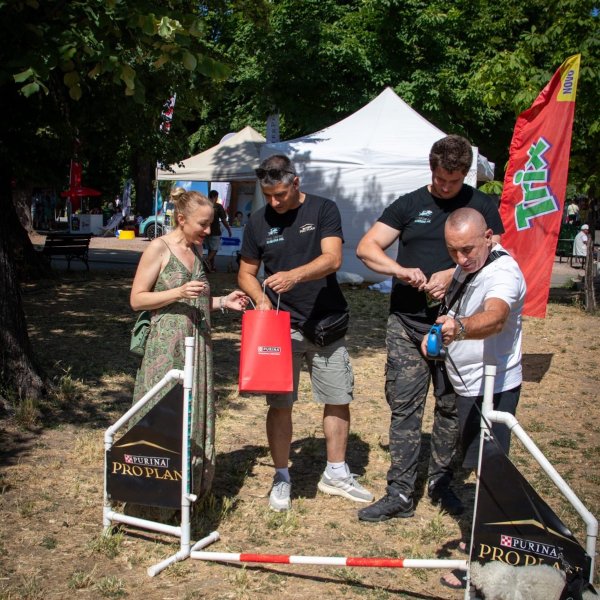Izveštaj sa festivala "Ulični psi" — 3