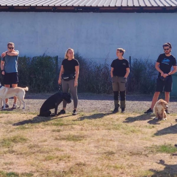 Počeo je novi Kurs osnovne poslušnosti u Žarkovu — 7