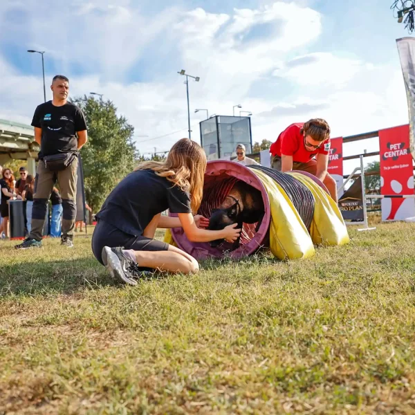 5zona na pet centar karavanu - Ada Ciganlija - Beograd — 19