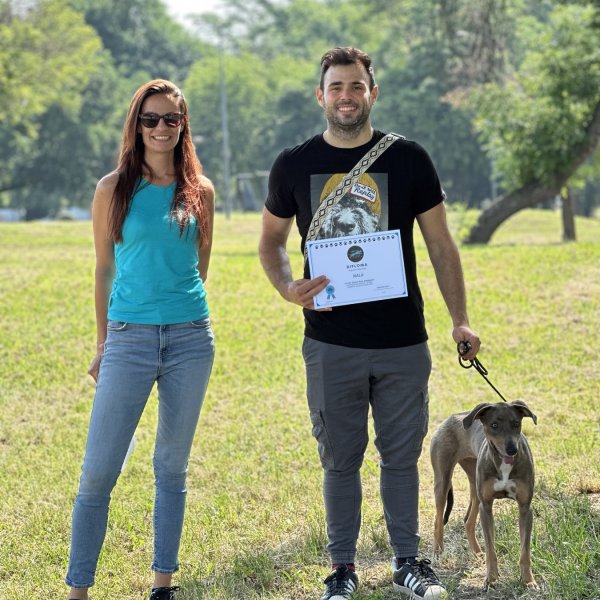Izveštaj sa festivala "Ulični psi" — 24