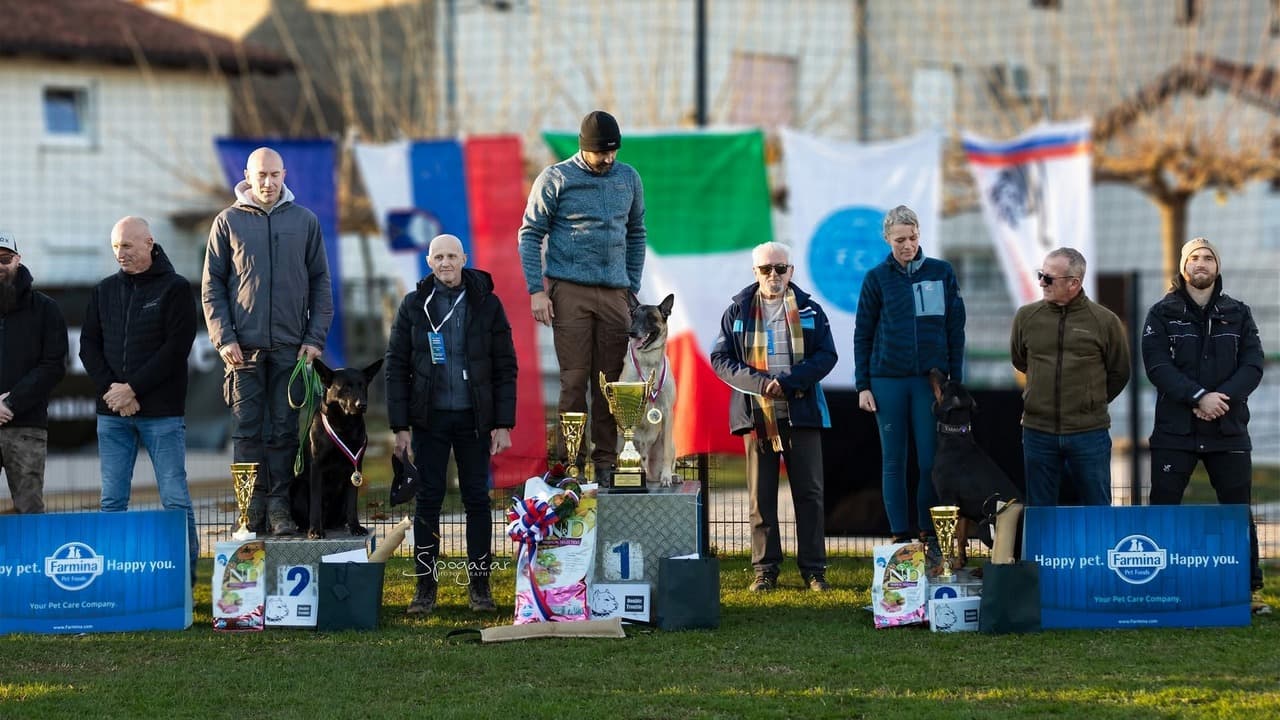 IV. CACIT Memorijal Miloš Kovač 2025