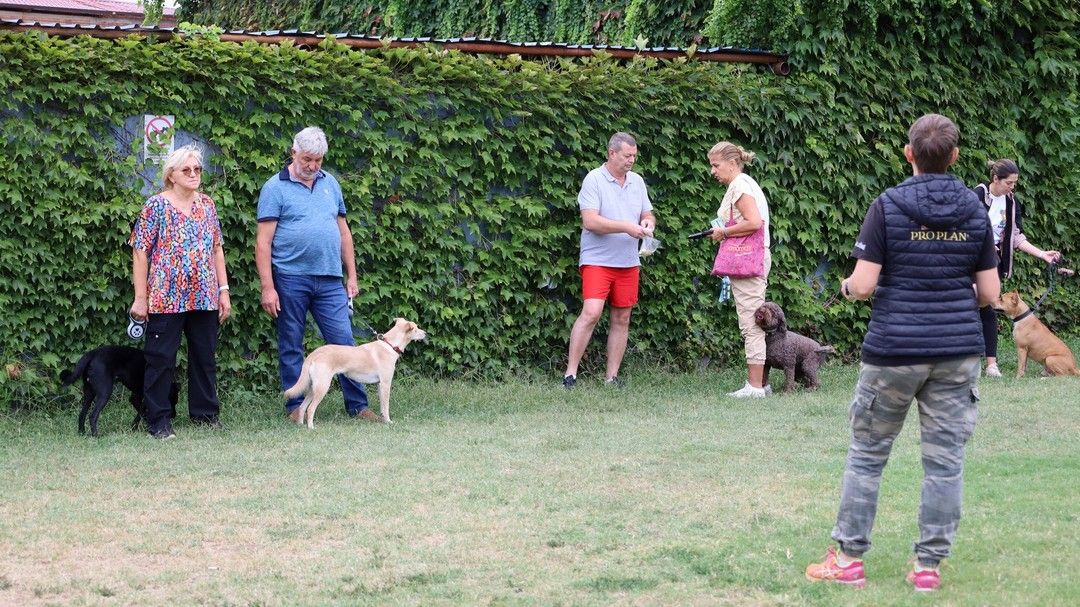Zašto pas ne voli druge pse