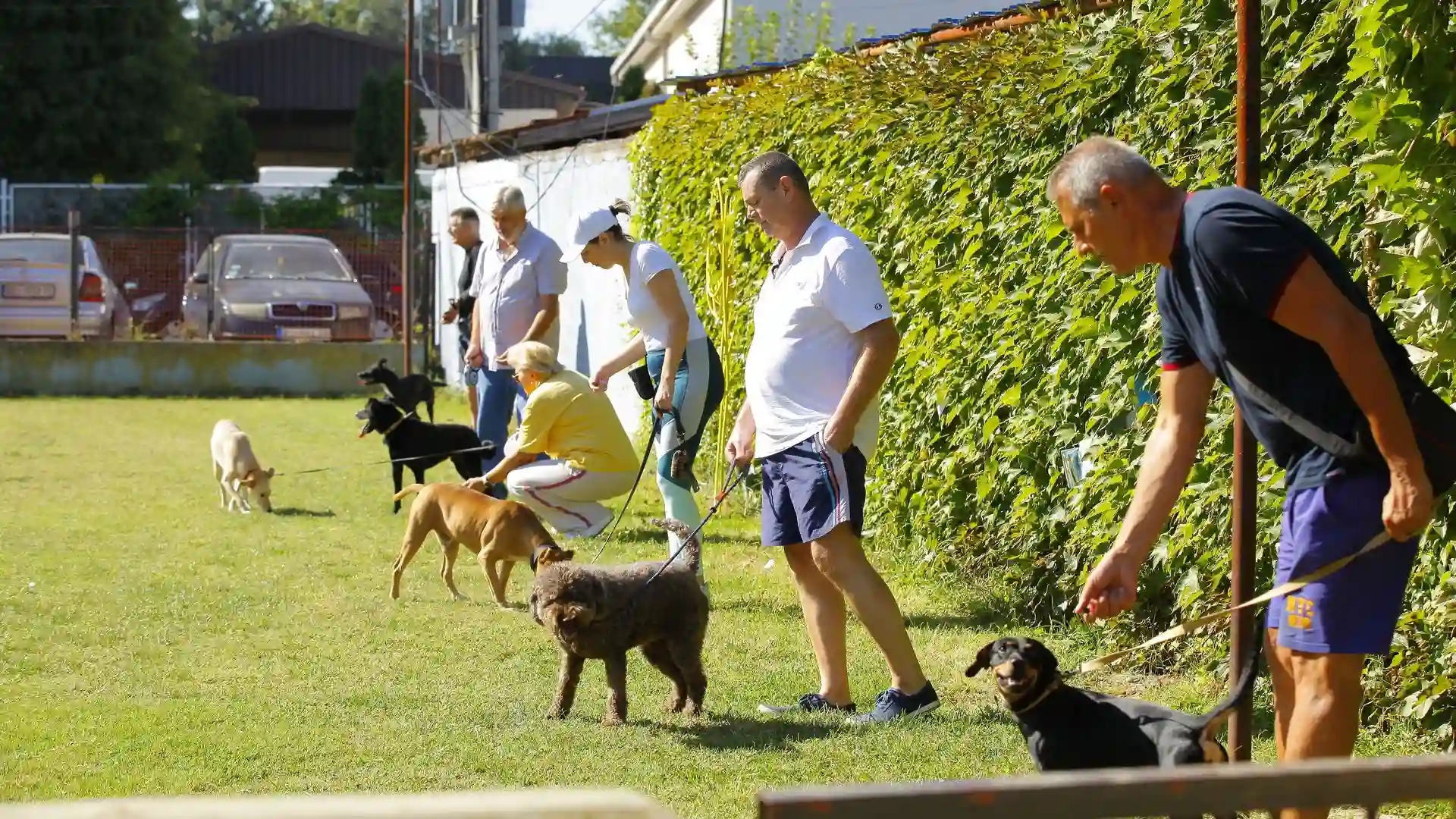 Zašto pas čuva igračke ili mesto za spavanje