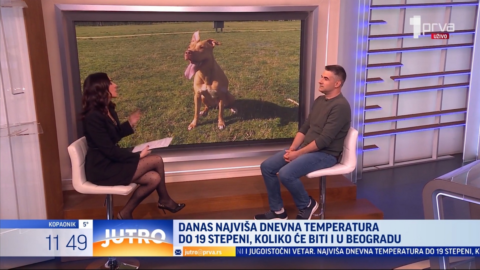 Miloš Jević 5Zona