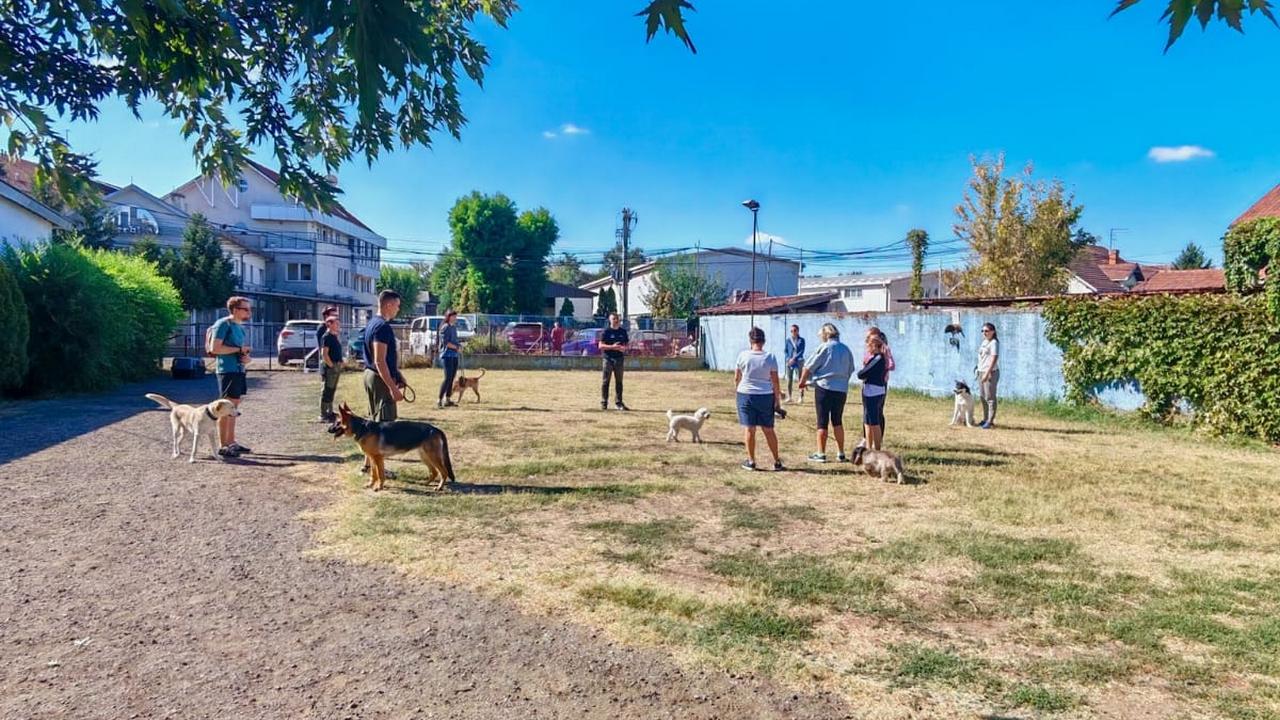 Počeo je novi Kurs osnovne poslušnosti u Žarkovu
