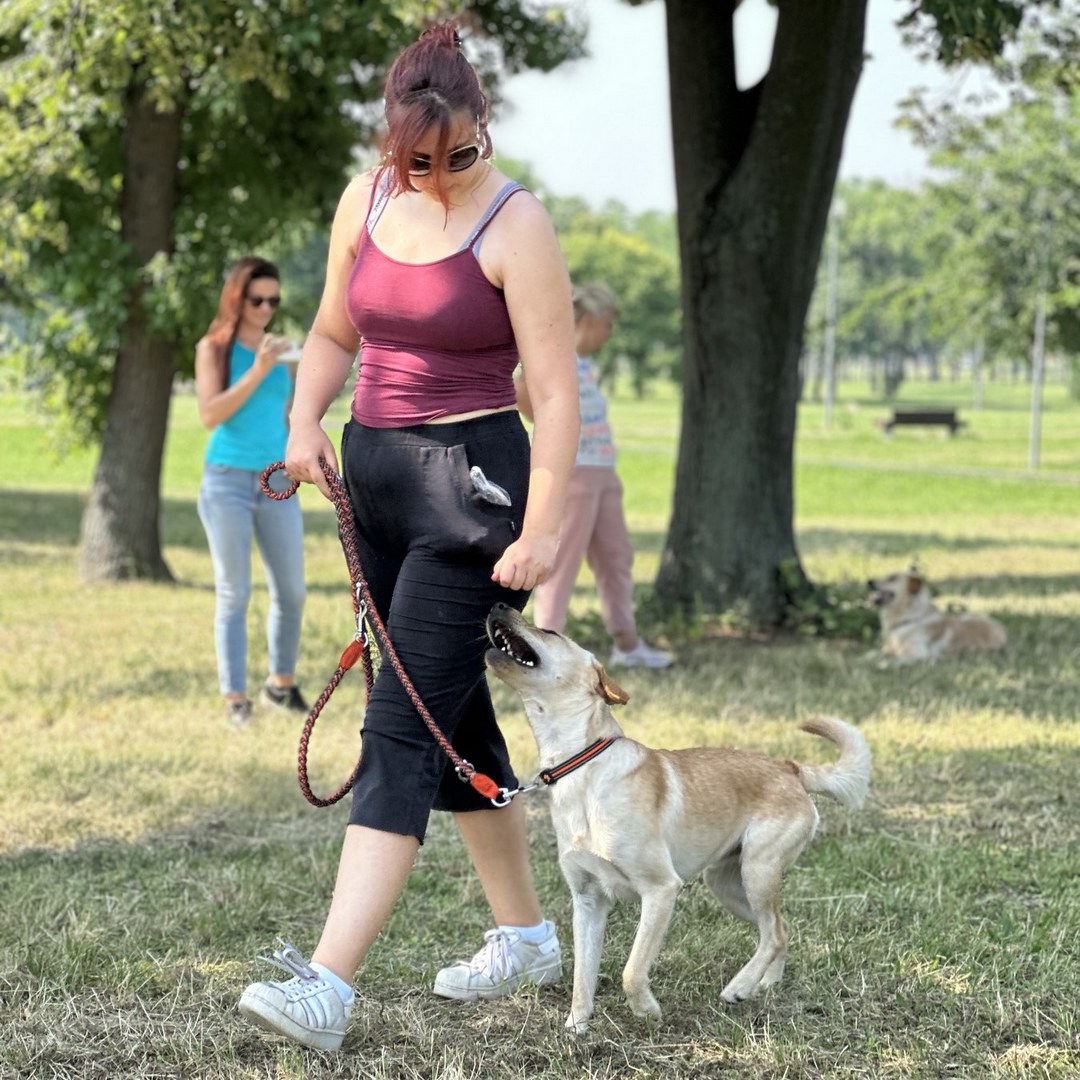 INDIVIDUALNI TRENING ZA PSA